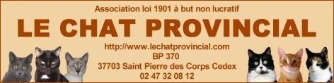 Association le chat provincial 37 St Pierre des corps