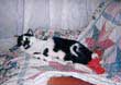 Felix et Tipoune