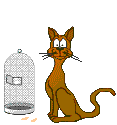 Ou est pass le piaf?