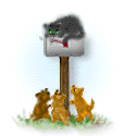 Attaque  pattes armes