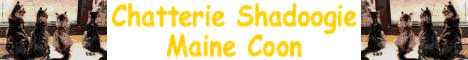 Chatterie Shadoogie